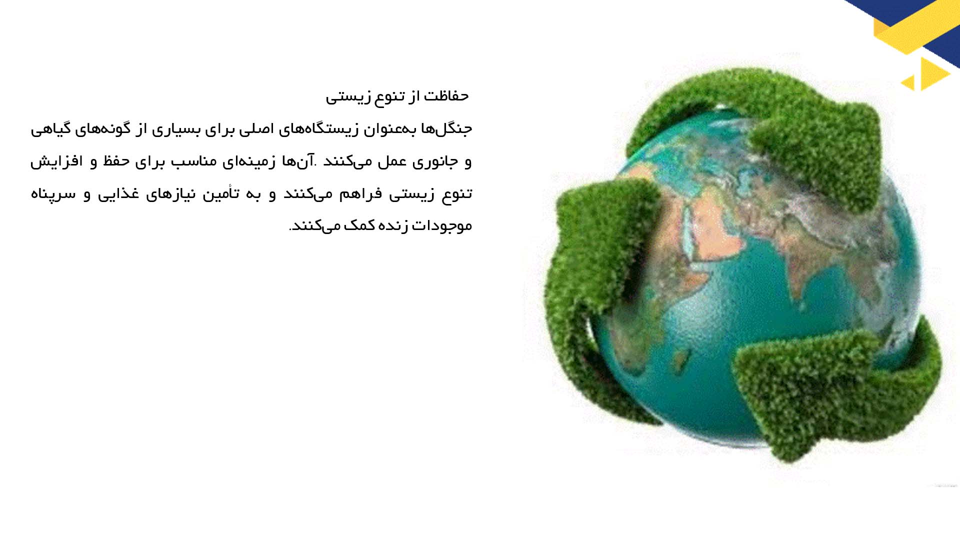 پاورپوینت در مورد اهمیت جنگل‌ها در اکوسیستم زمین